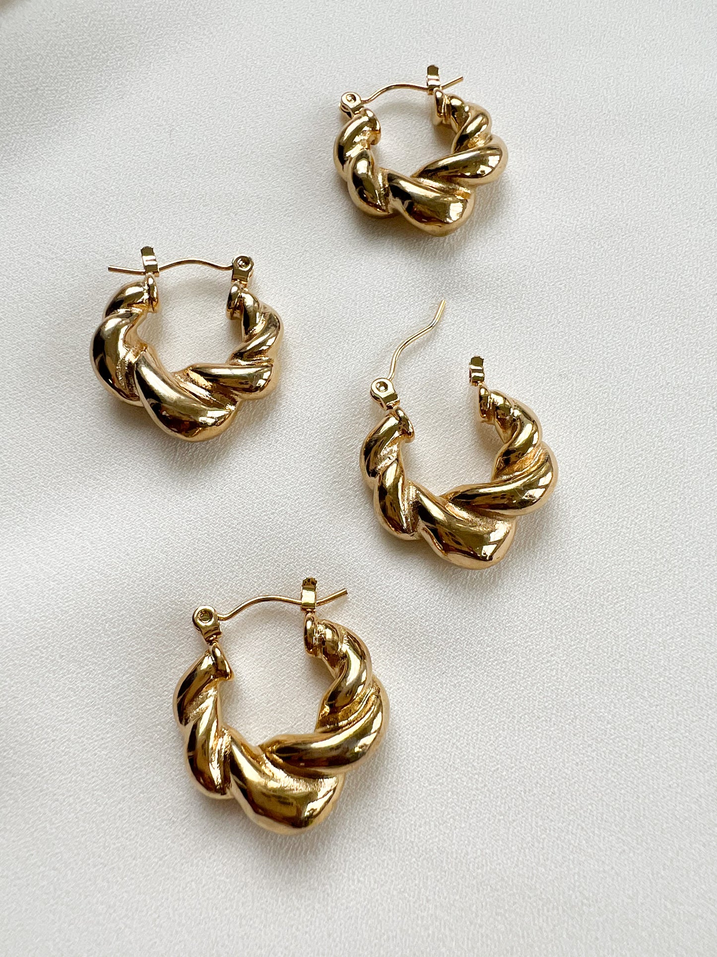 The Rudy Hoops