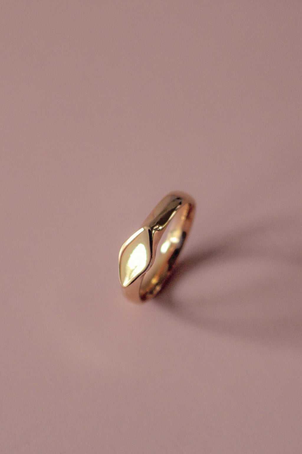 Diamo Signet Ring