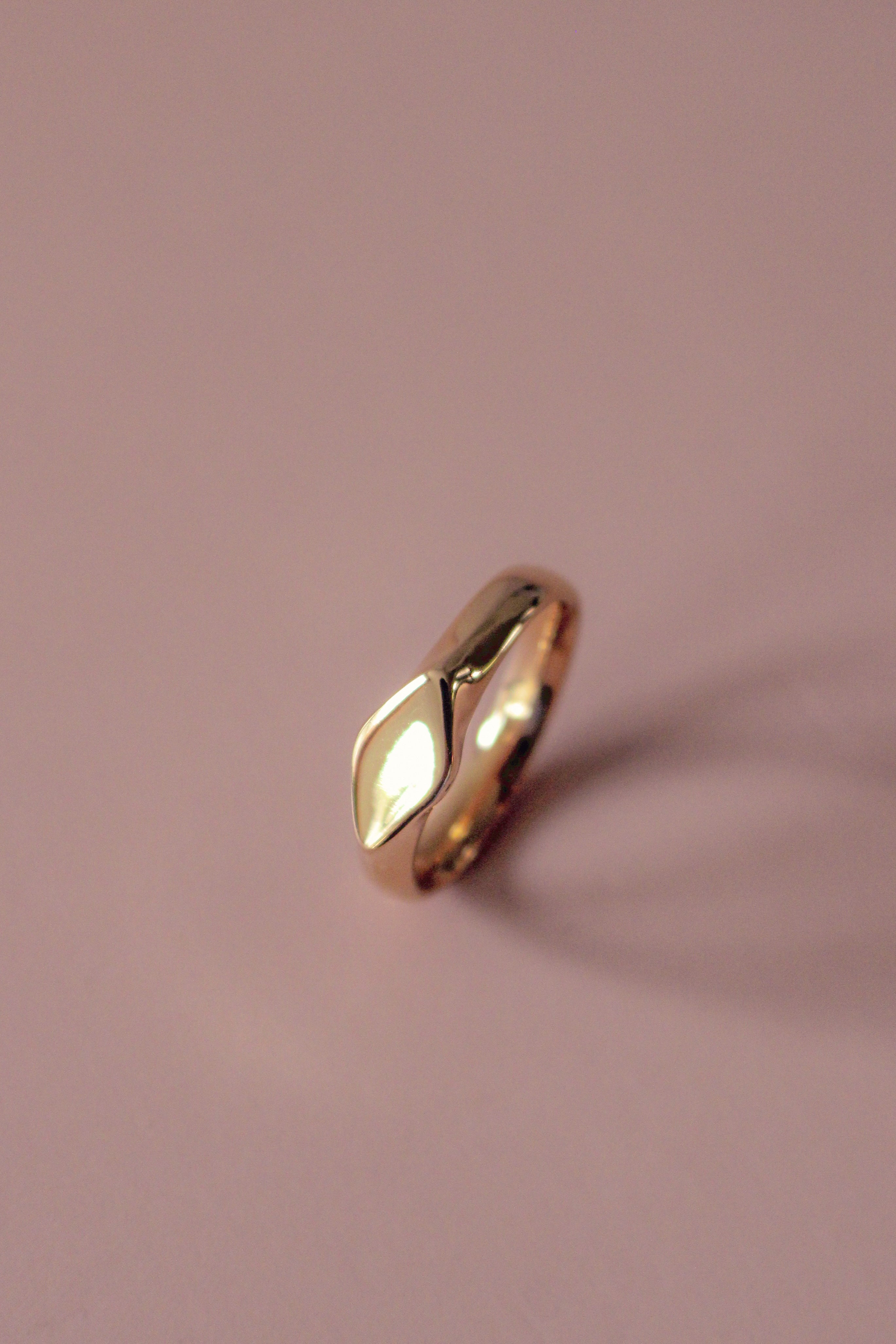Diamo Signet Ring