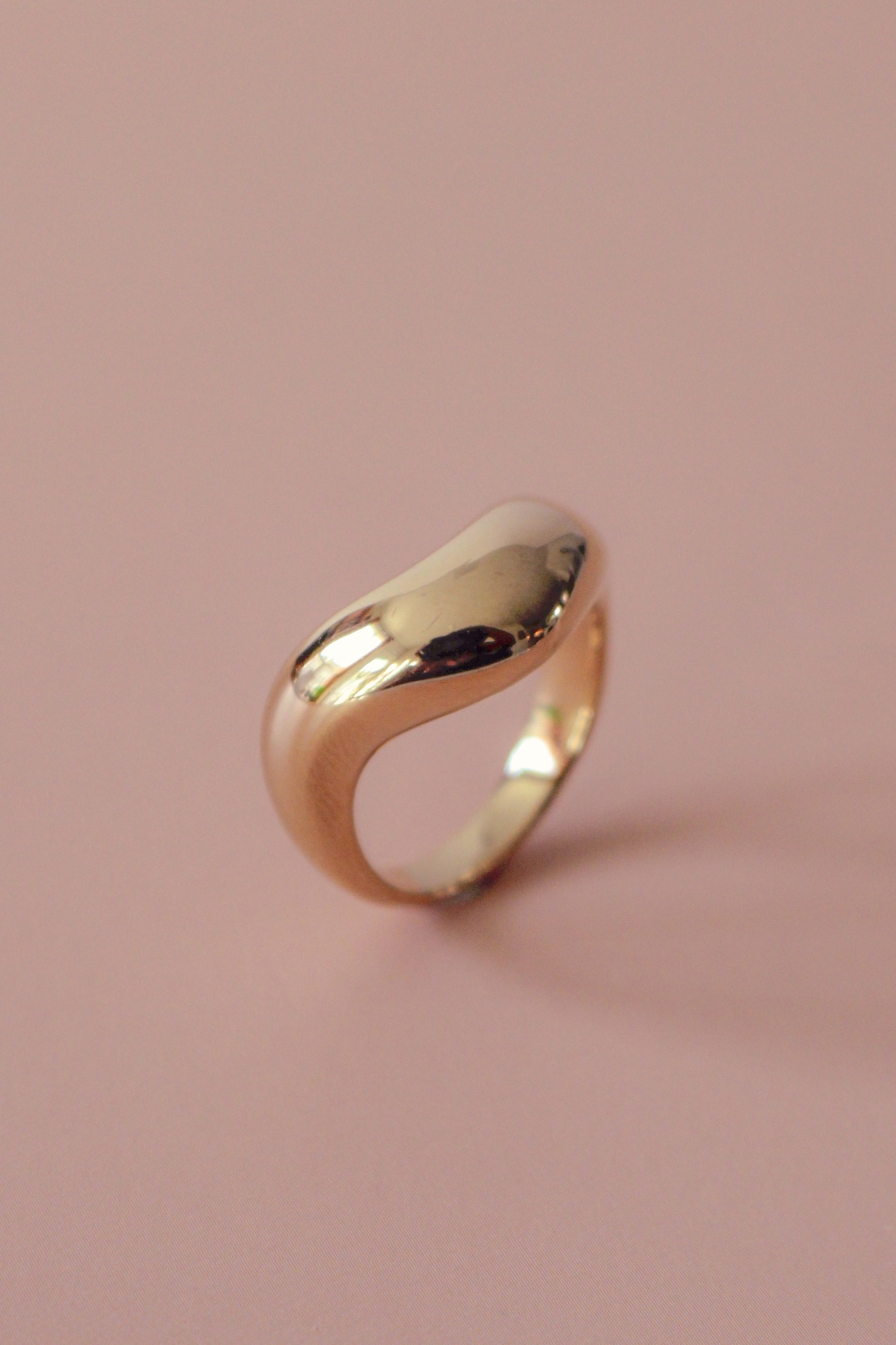 Arlo Ring