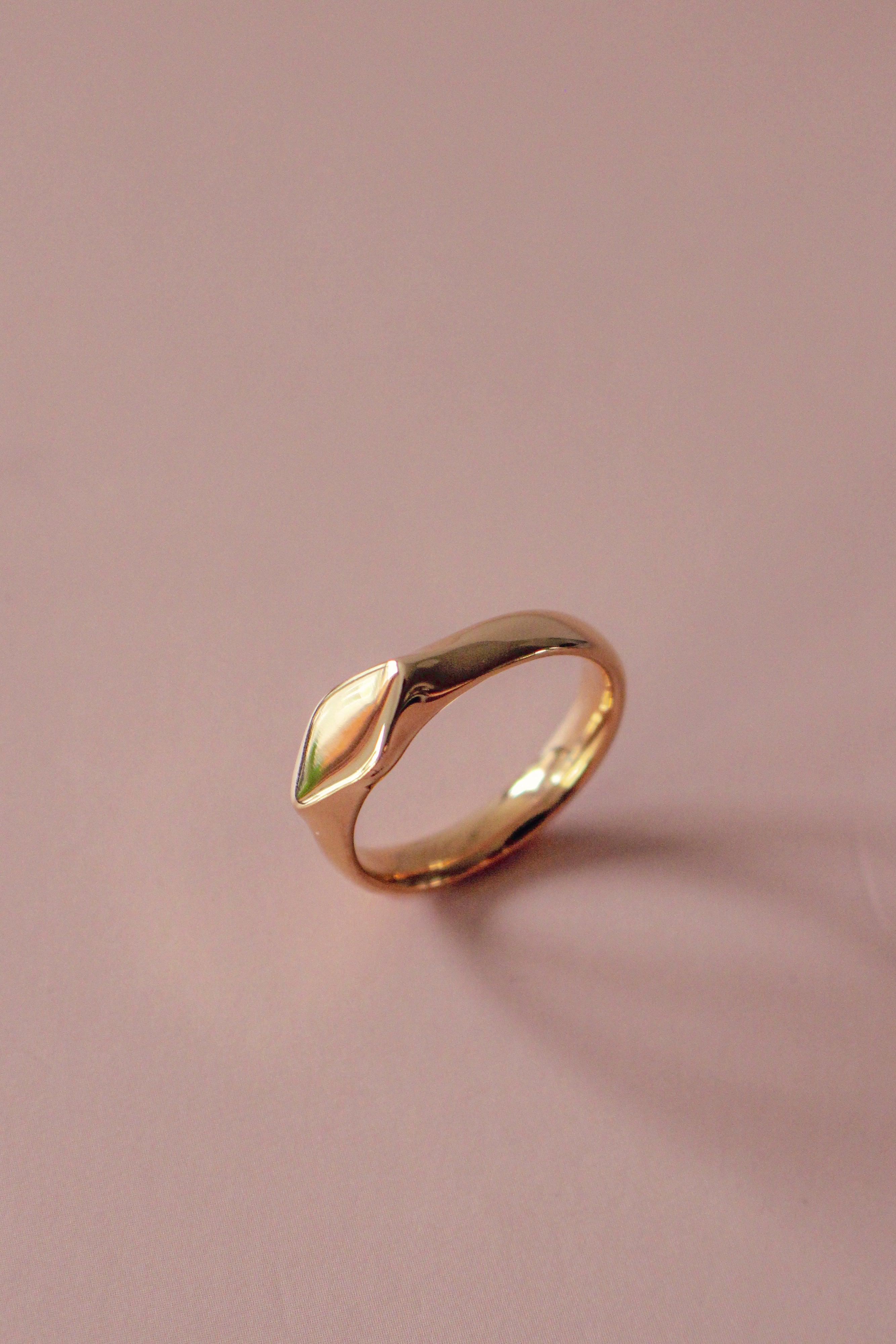 Diamo Signet Ring
