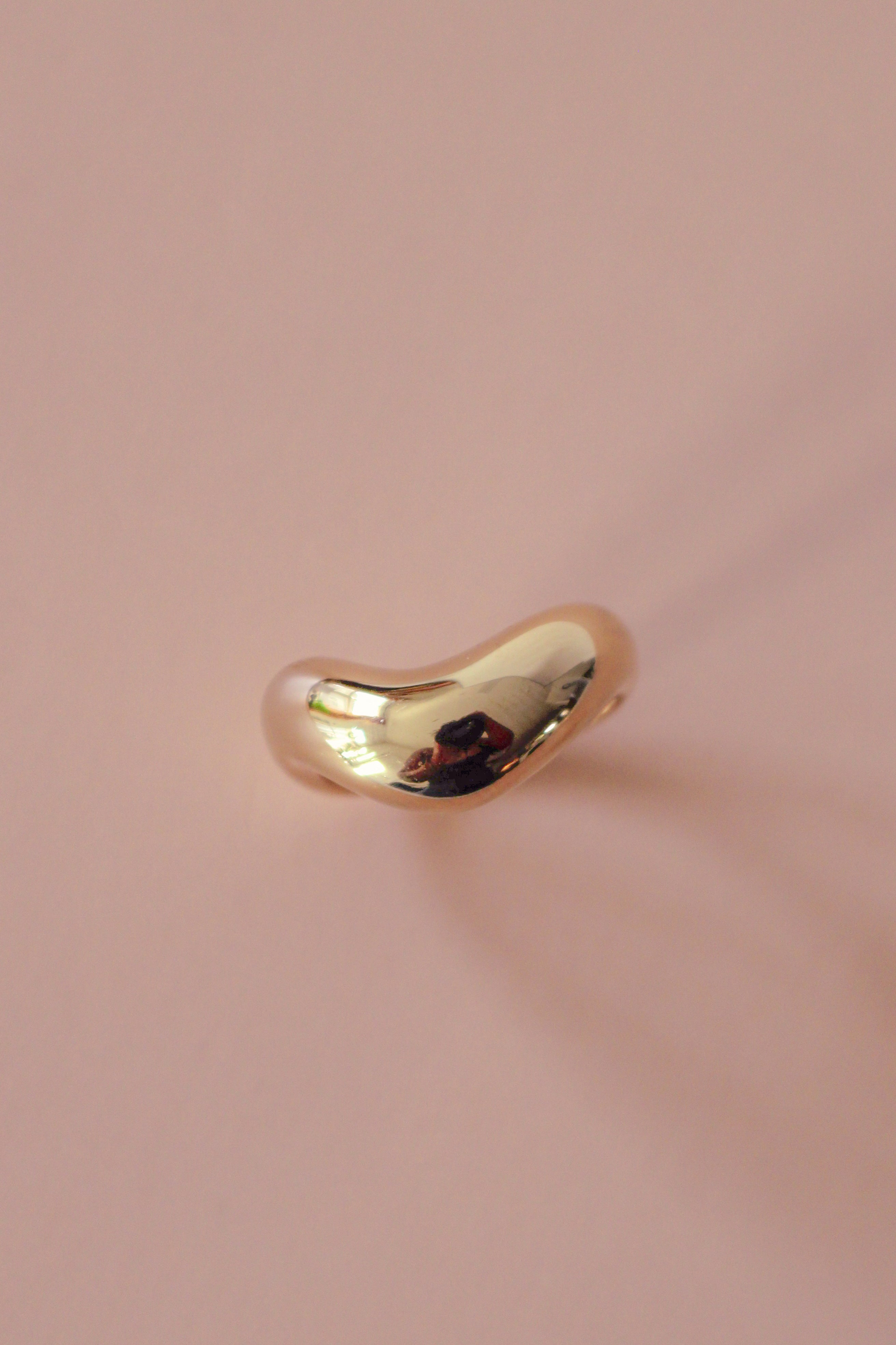 Arlo Ring