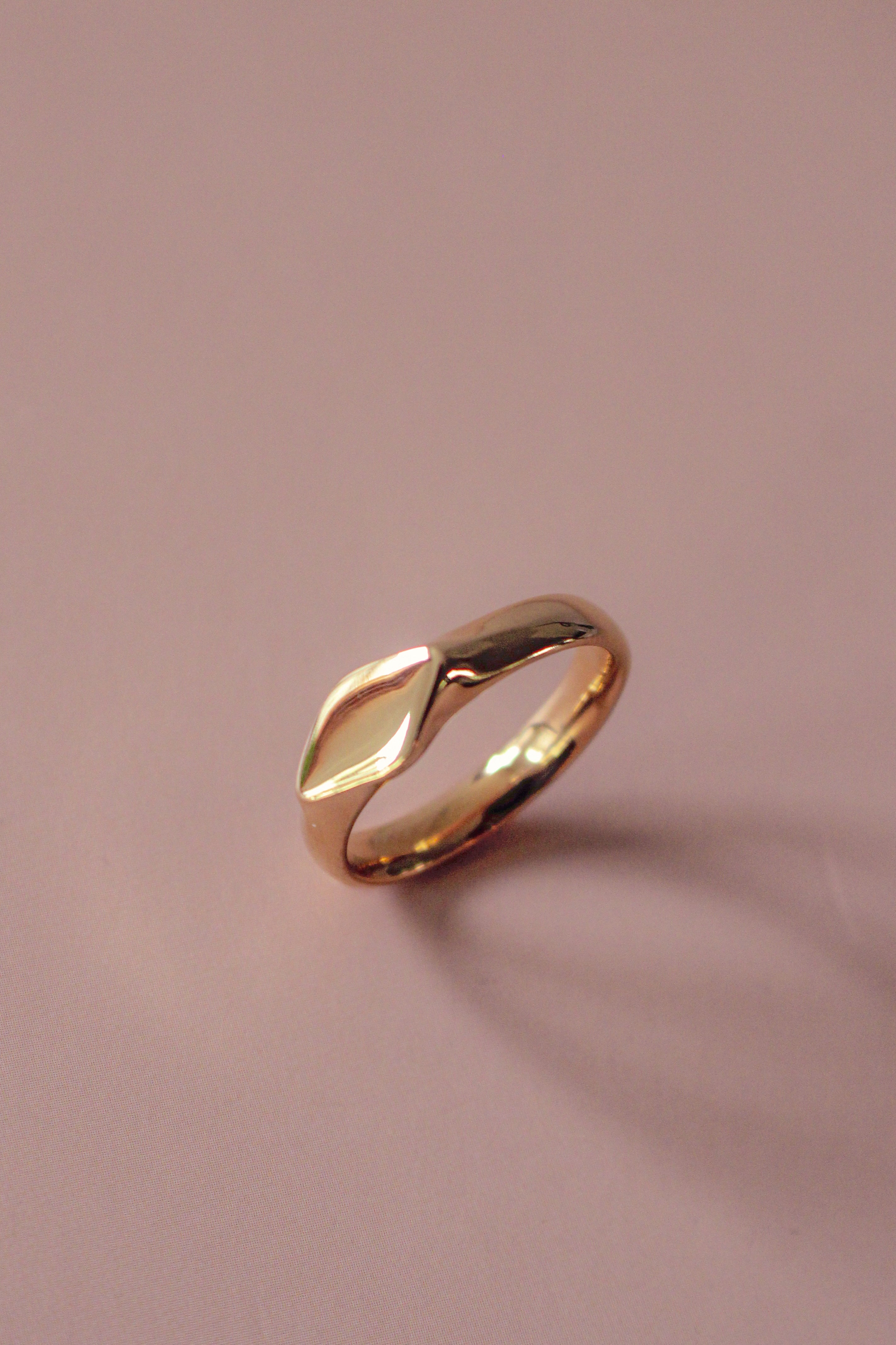 Diamo Signet Ring