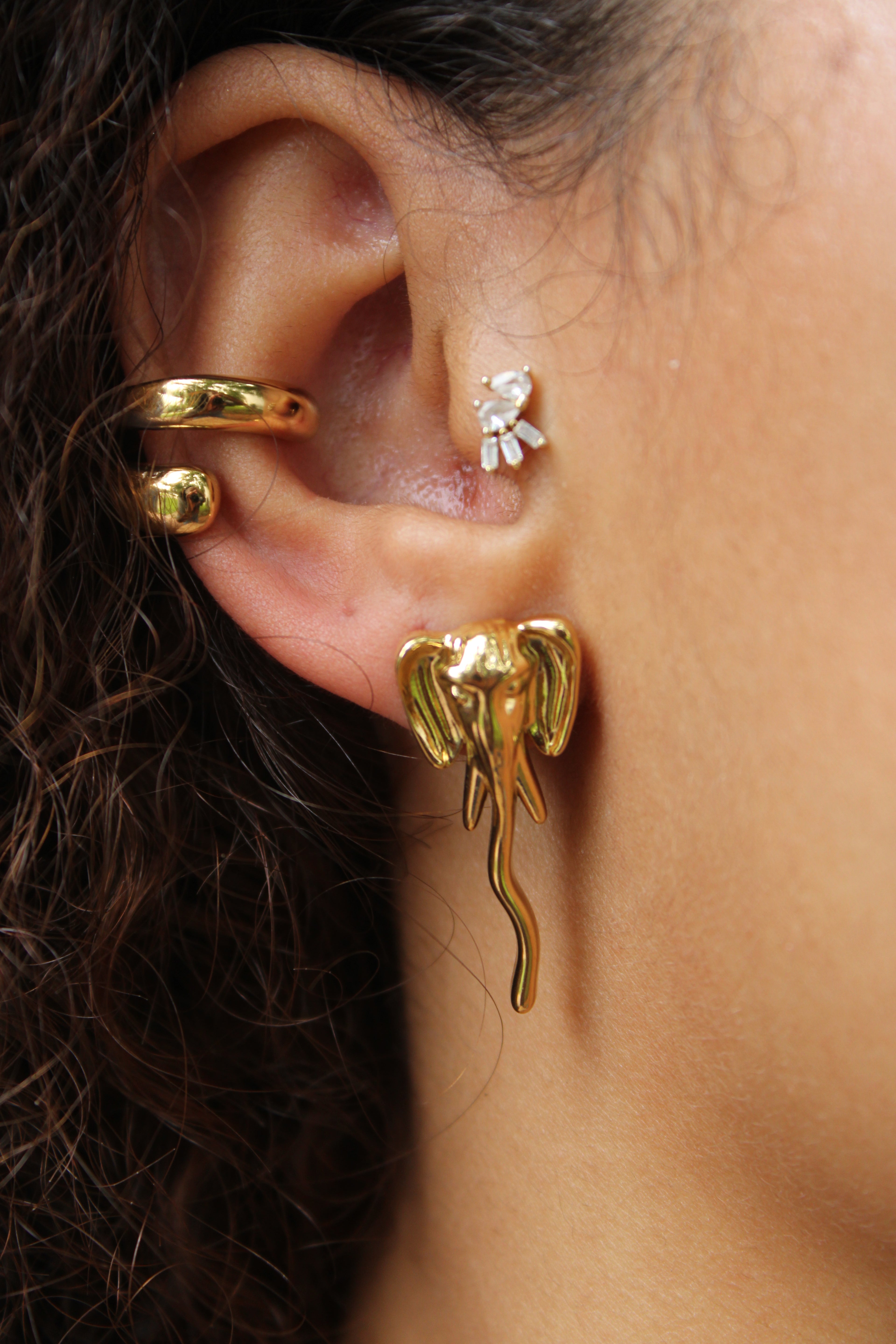Tai Earrings