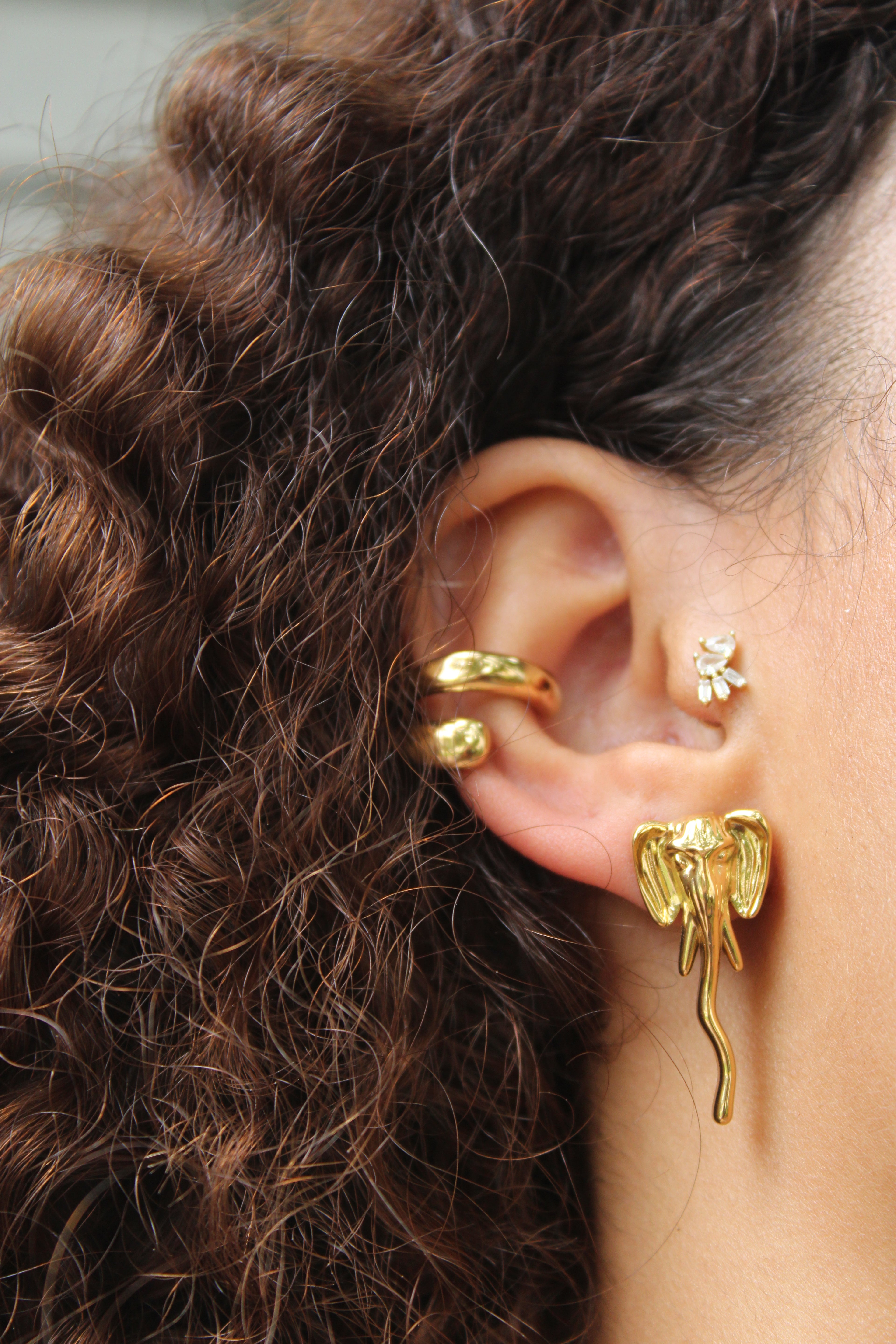 Tai Earrings