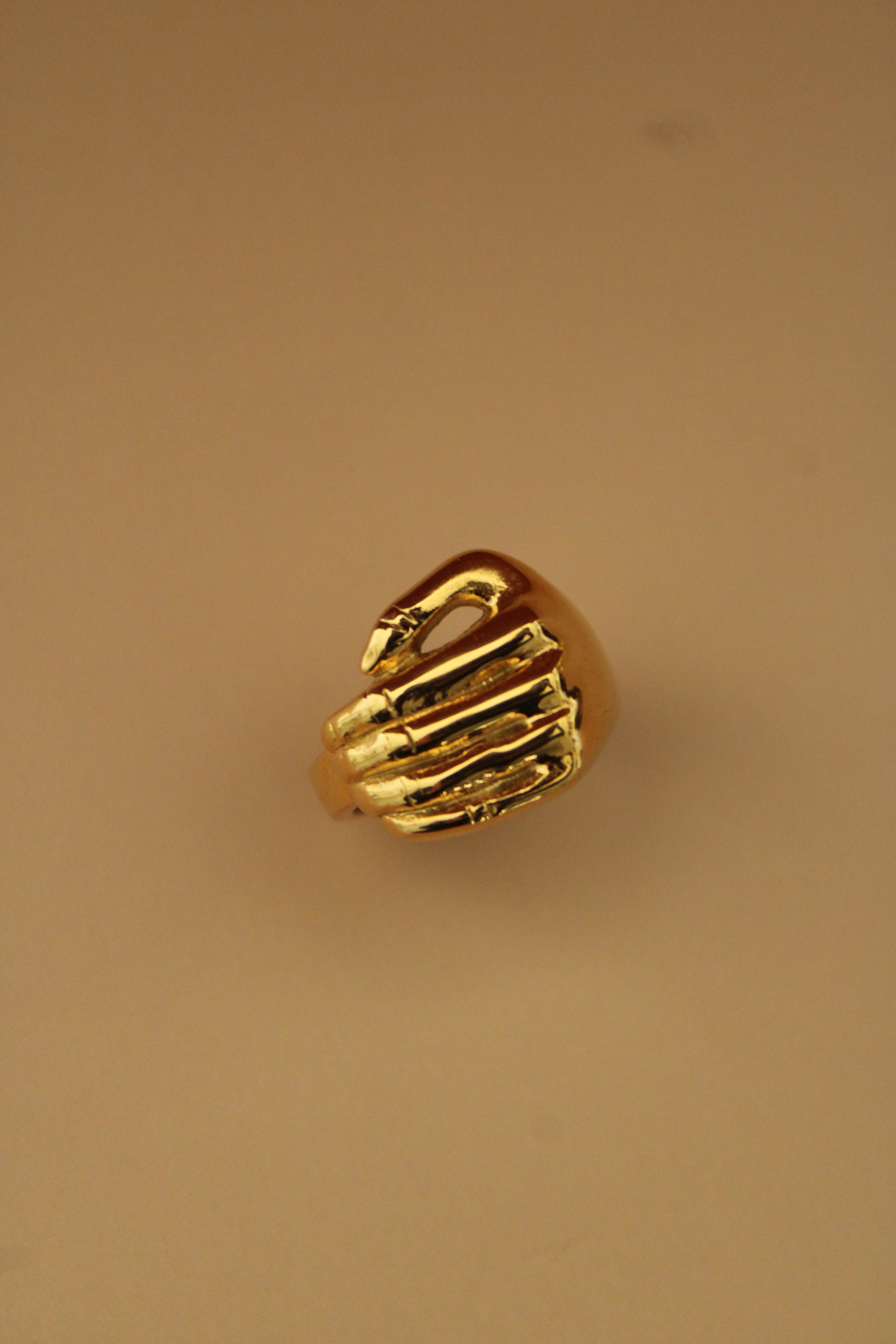 Puno Ring