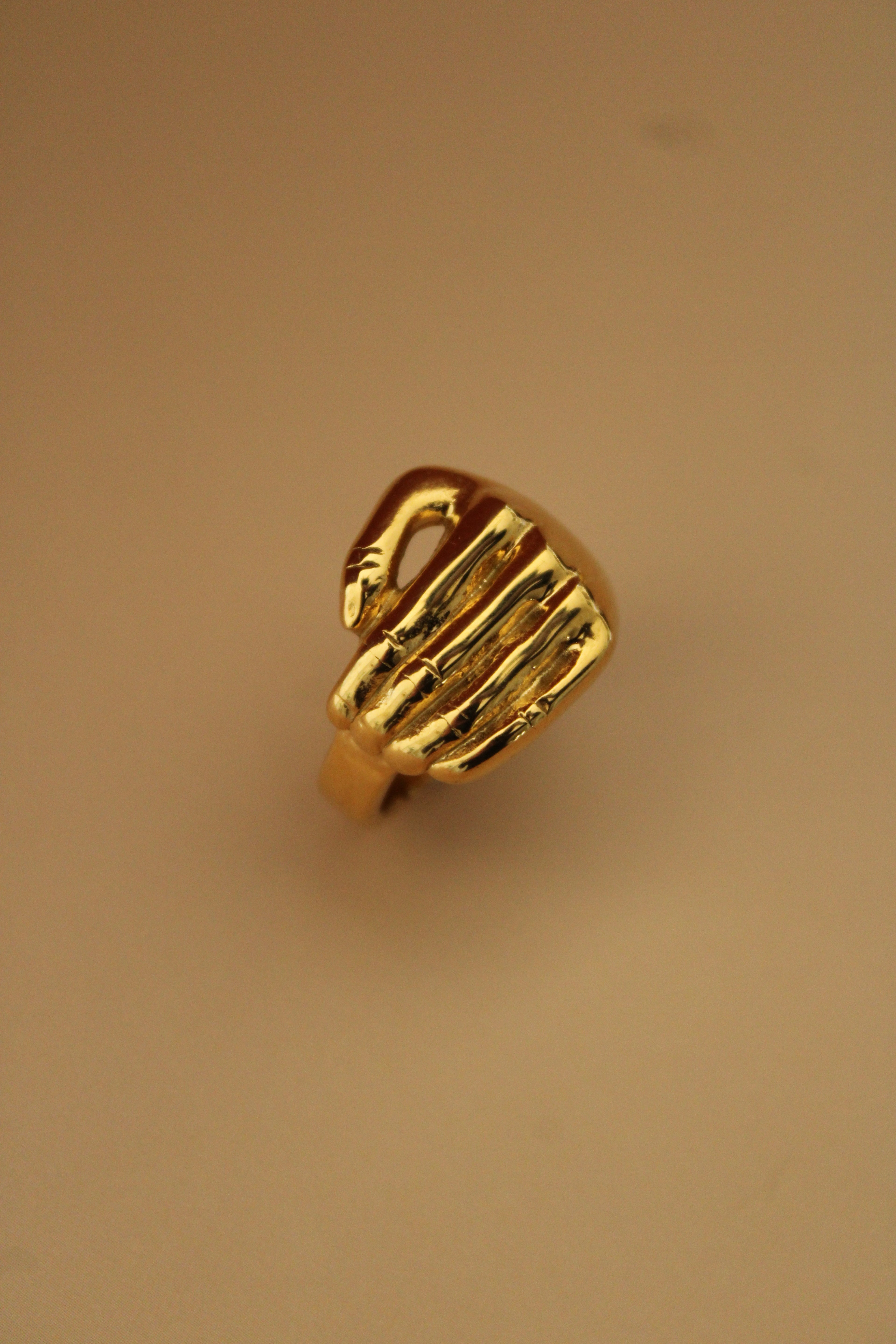 Puno Ring